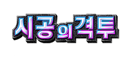 시공의 격투