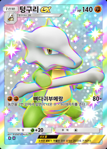 텅구리 ex #236 · 쌍천의 수호자 (A3)
