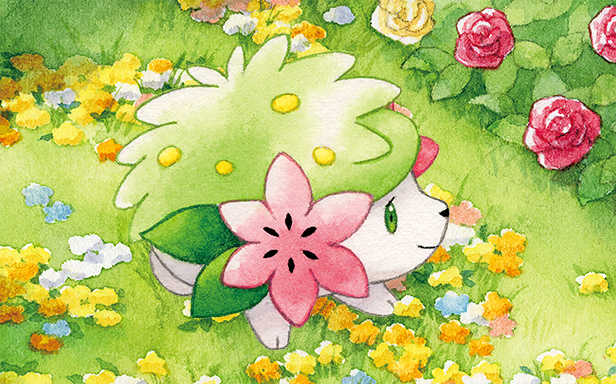 Shaymin · Illustrations 3