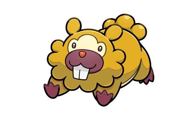 Bidoof · Illustrations 5