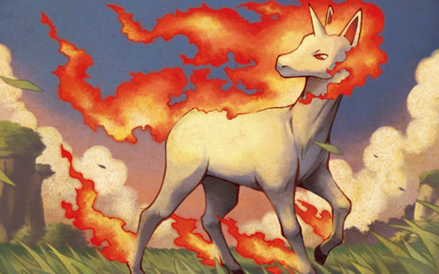 Rapidash · Illustrations 4