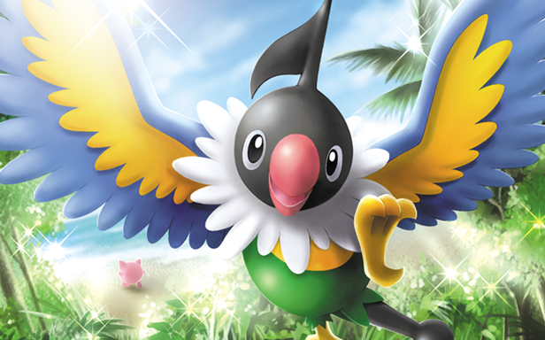 Chatot · Illustrations 5