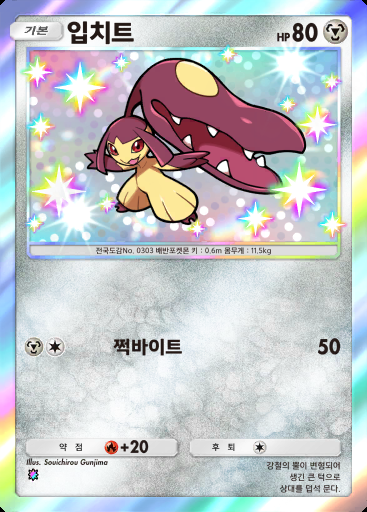 입치트 #102 · 로켓단의 야망 (B4a)