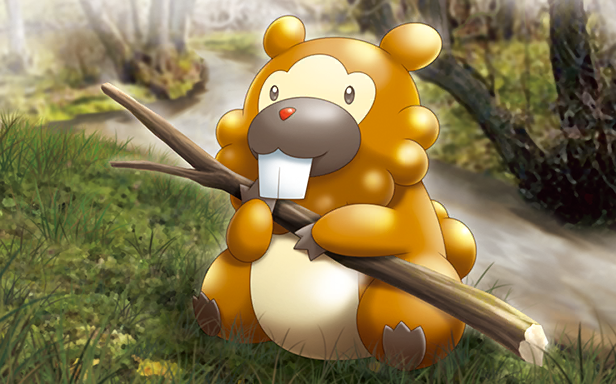 Bidoof · Illustrations 4