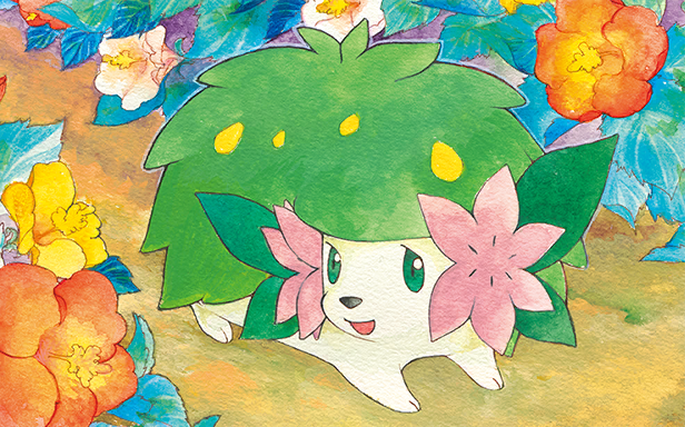 Shaymin · Illustrations 5