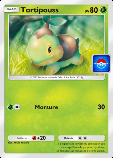Tortipouss #035