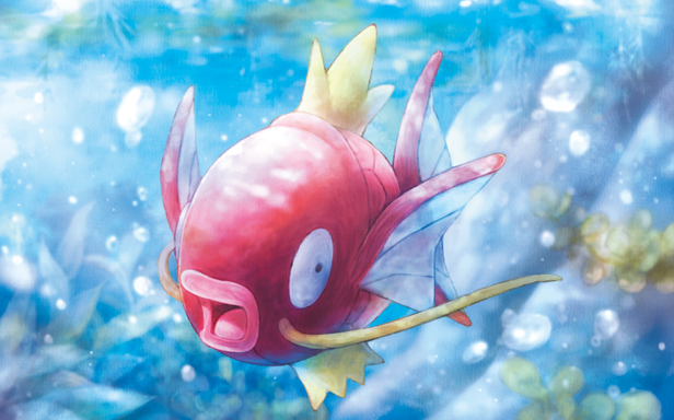 Magikarp · Illustrations 7