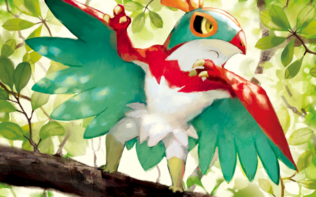 Hawlucha · Illustrations 5