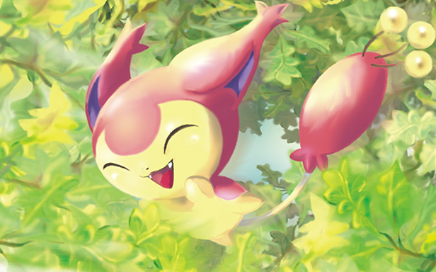 Skitty · Illustrations 5